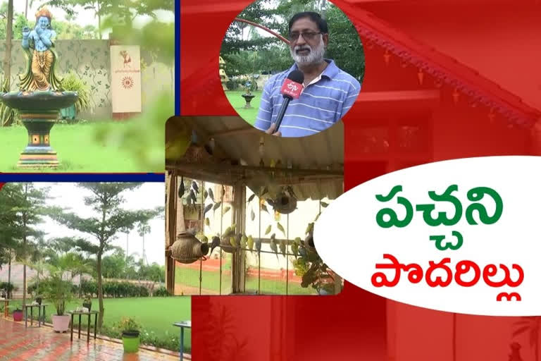 ఇంటిని ఉద్యానవనంలా మార్చిన ప్రకృతి ప్రేమికుడు