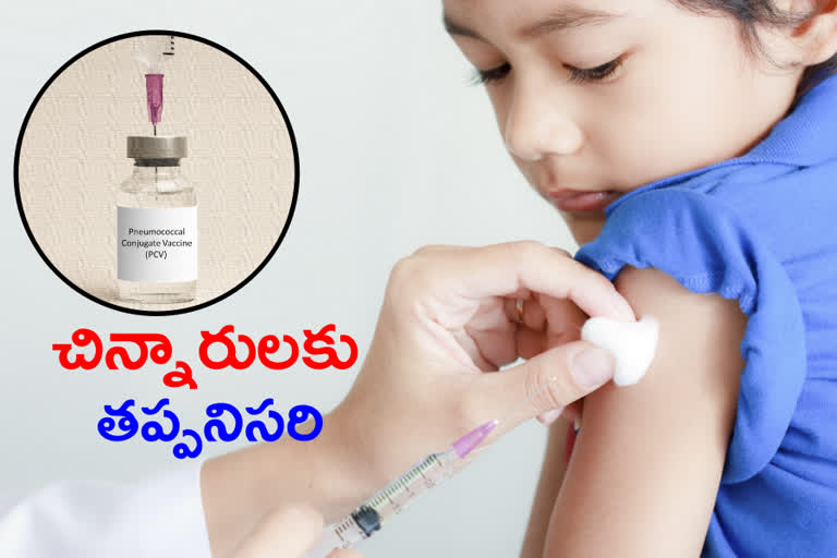pneumococcal conjugate vaccine