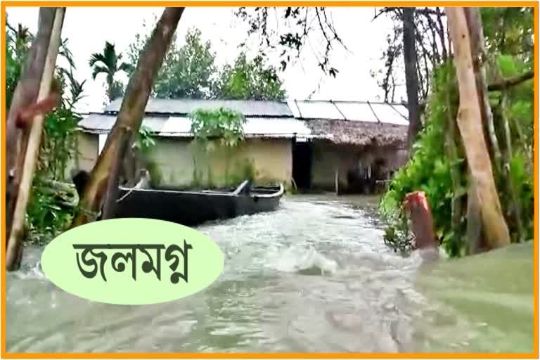 flood in jonai