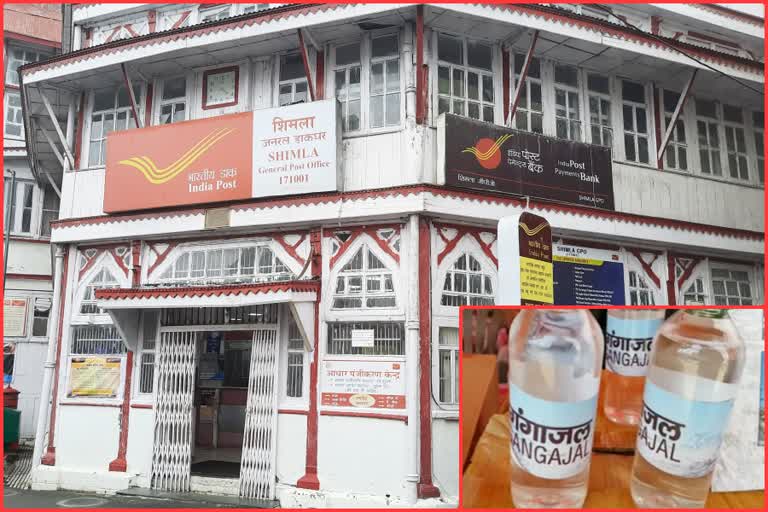 shimla post office