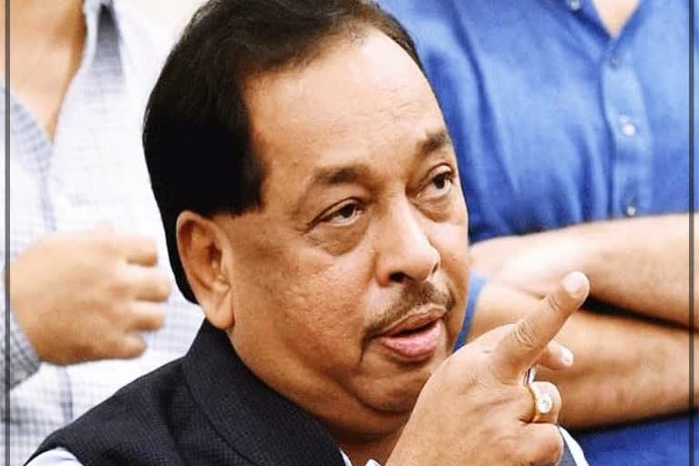 Narayan Rane