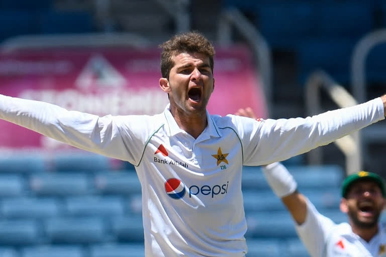 Shaheen Afridi