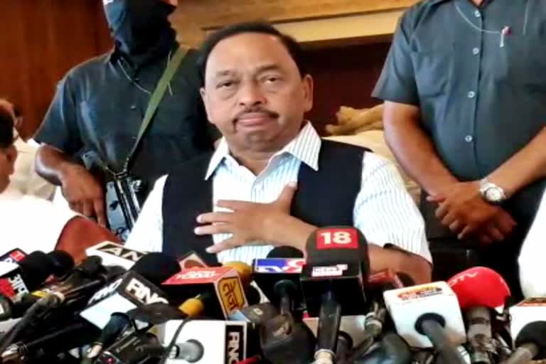 Narayan Rane