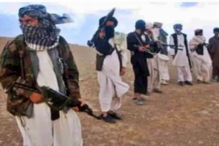 Ensure that Taliban do not destabilise Pakistan and acquire nuclear weapons: US lawmakers to Biden