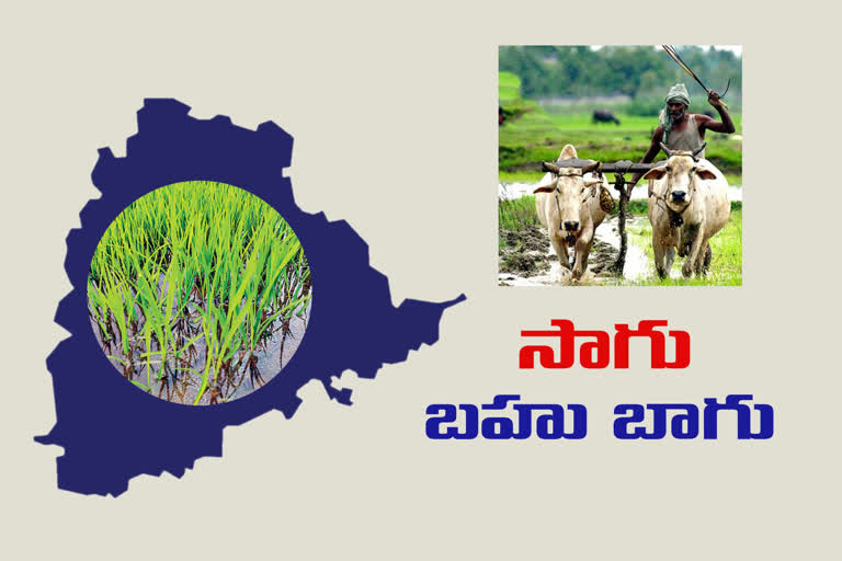 record level farming in telanganarecord level farming in telangana