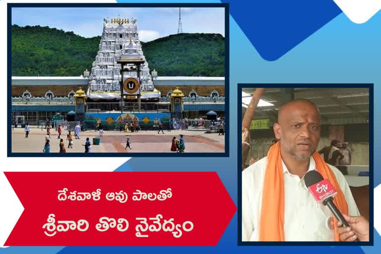 దేశవాళీ ఆవు పాలతో శ్రీవారికి నవనీత సేవ