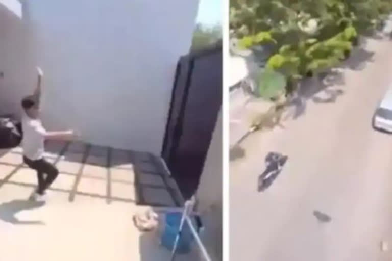 Parrot snatches a phone and captures a literal bird's eye view, video gets viral