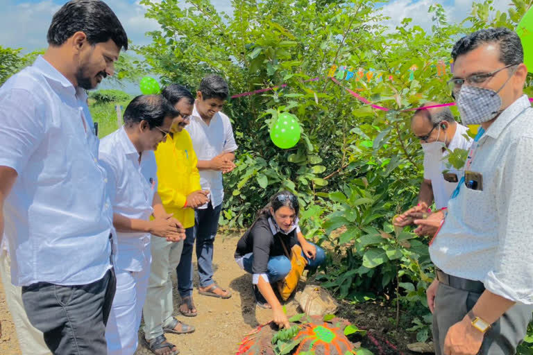 झाडांचा पहिला वाढदिवस धुमधडाक्यात साजरा