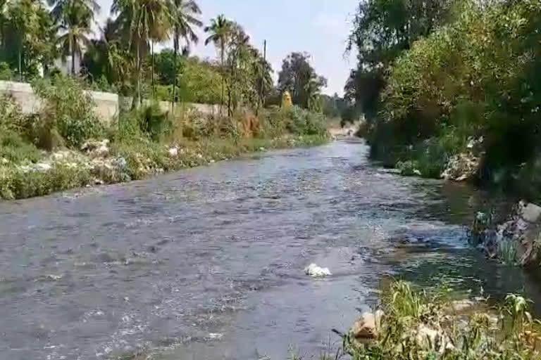 ವೃಷಭಾವತಿ ನದಿ