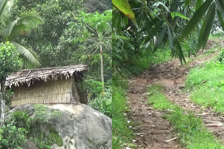 people in kurathikudi suffers without even the facility of primary health centre  kurathikudi  primary health centre  മുതുവാൻ സമുദായം  കുറത്തിക്കുടി ആദിവാസി മേഖല  കുറത്തിക്കുടി  അടിമാലി ഗ്രാമപഞ്ചായത്ത്