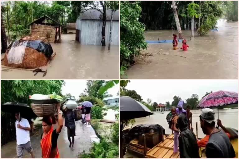 manikpur-flood-update-etv-bharat-assam-news