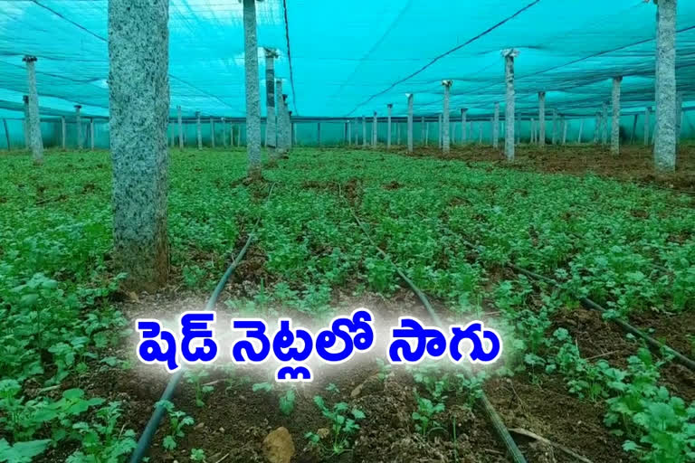 new agriculture methods