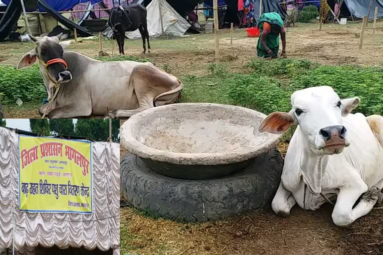 Flood In Bhagalpur