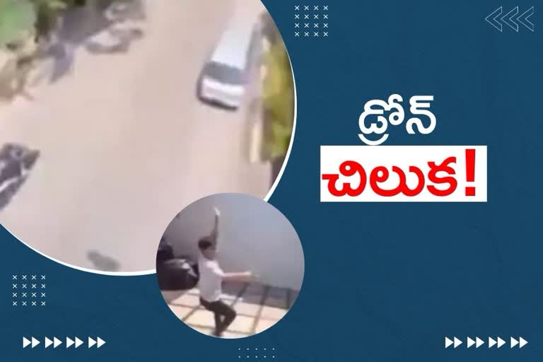 చిలుక