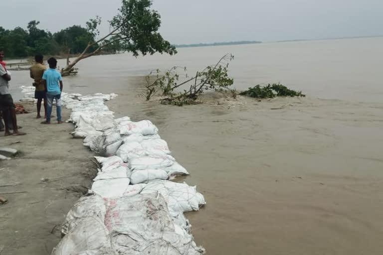 पानापुर में मंडराने लगा बाढ़ का खतरा