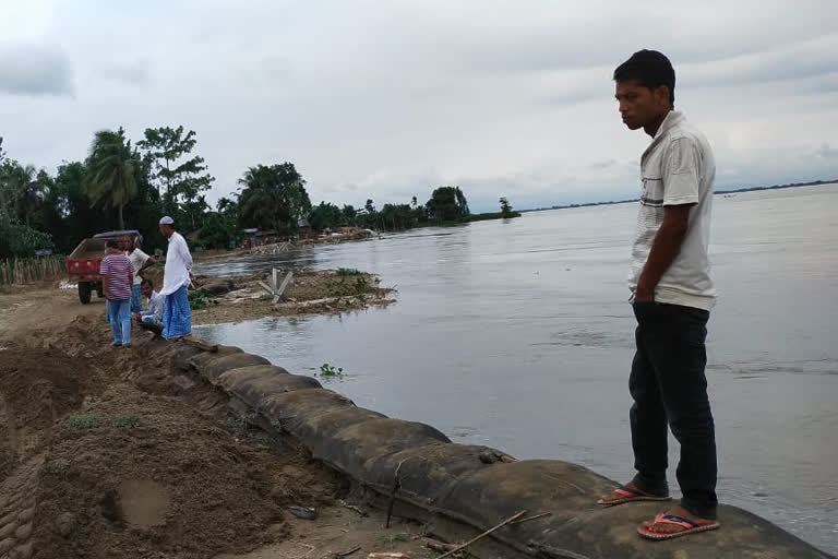 flood situation in sonitpur