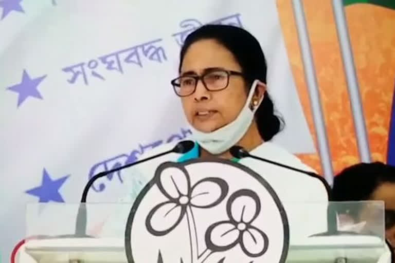 Mamta Banerjee