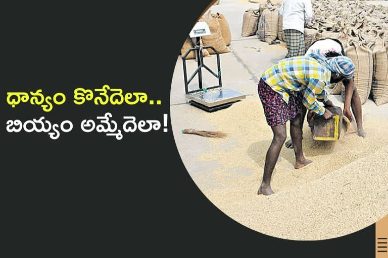 Paddy procurement