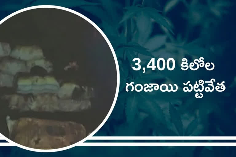 Seizure of 3,400 kg of cannabis at hyderabad