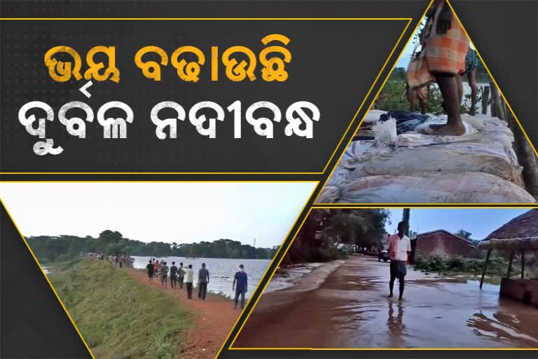 ବେଣୀପୁର ବନ୍ୟାକୁ ପୁରିଲା ବର୍ଷେ, ଦୁର୍ବଳ ନଦୀବନ୍ଧକୁ ନେଇ ଆତଙ୍କିତ ଲୋକେ