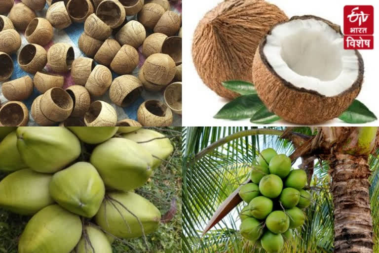 World Coconut Day