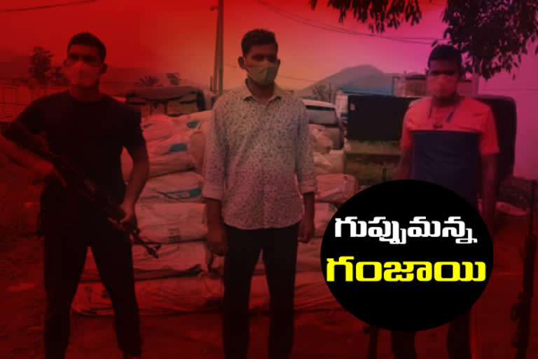 marijuana seized: రూ.2.5 కోట్ల గంజాయి స్వాధీనం.. ఇద్దరి అరెస్ట్