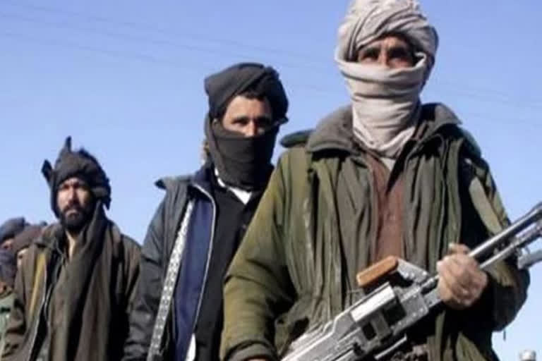 taliban threat to haryana