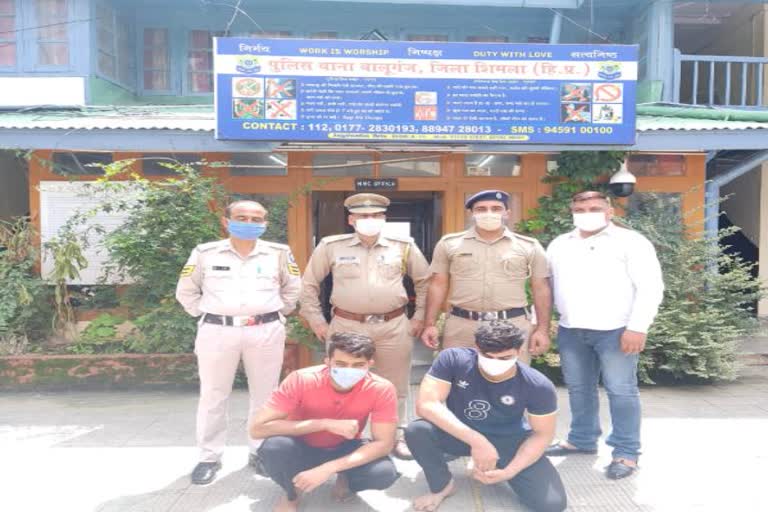 shimla police arrested drugs smuggler