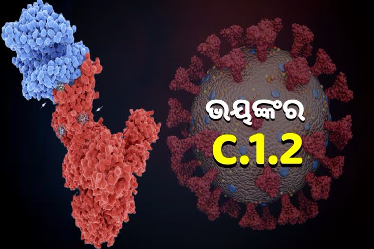 New Covid Variant: ଭୟ ବଢାଉଛି C.1.2, ଭ୍ୟାକ୍ସିନକୁ ଦେଇପାରେ ଚକମା