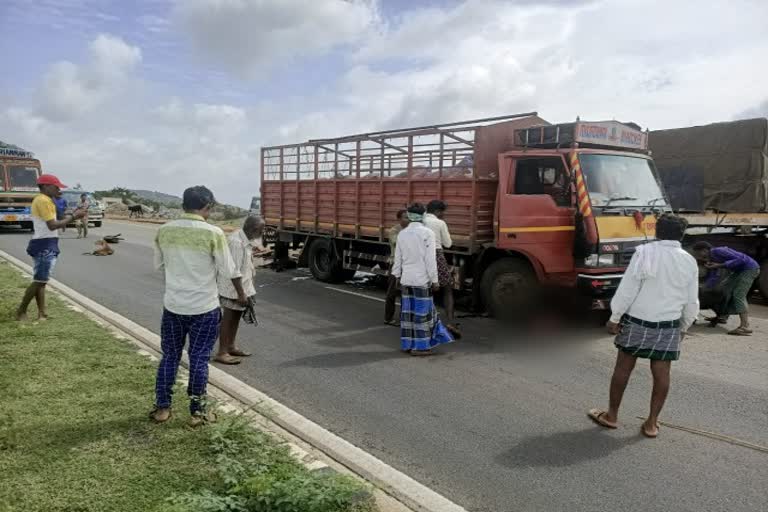 30 sheeps died in road accident, vijayanagara district