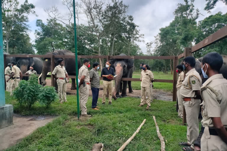 ಮೈಸೂರು ದಸರಾಗೆ ಬಂಡೀಪುರದ ಲಕ್ಷ್ಮಿ, ಚೈತ್ರಾ ಜೊತೆ ಪಾರ್ಥಸಾರಥಿ