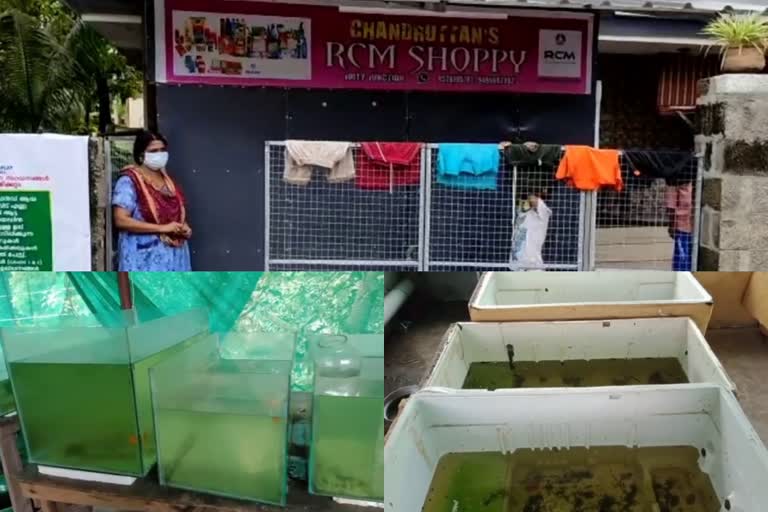 Aquarium fish were stolen in kollam  Aquarium fish were stolen  kollam Aquarium fish were stolen  Aquarium fish were stolen kollam  അലങ്കാരമത്സ്യങ്ങൾ മോഷ്‌ടിച്ചു  അക്വേറിയത്തിലെ അലങ്കാരമത്സ്യങ്ങൾ മോഷ്‌ടിച്ചു  അലങ്കാരമത്സ്യങ്ങൾ മോഷണം പോയി  അലങ്കാരമത്സ്യങ്ങൾ മോഷണം  അലങ്കാരമത്സ്യങ്ങൾ  കൊല്ലം  കൊല്ലം അലങ്കാരമത്സ്യങ്ങൾ  കൊല്ലം അലങ്കാരമത്സ്യങ്ങൾ മോഷണം