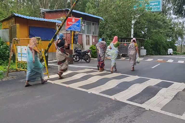 ഇടുക്കി ബാലവേല  ഇടുക്കി ബാലവേല വാര്‍ത്ത  ഇടുക്കി ഏലത്തോട്ടം ബാലവേല വാര്‍ത്ത  ഏലത്തോട്ടം ബാലവേല വാര്‍ത്ത  ബാലവേല അന്വേഷണം വാര്‍ത്ത  ഇടുക്കി ബാലവേല അന്വേഷണം വാര്‍ത്ത  ഇടുക്കി ബാലവേല ജില്ല ഭരണകൂടം അന്വേഷണം വാര്‍ത്ത  ഹൈറേഞ്ച് ബാലവേല അന്വേഷണം വാര്‍ത്ത  ഇടുക്കി ബാലവേല തമിഴ്‌നാട് വാര്‍ത്ത  child labour idukki news  idukki child labour news  child labour cardamom plantation news  idukki cardamom plantation child labour news