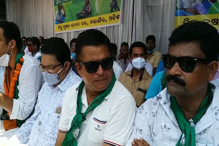 bolangir distict bjd protest for lack of fertilizer