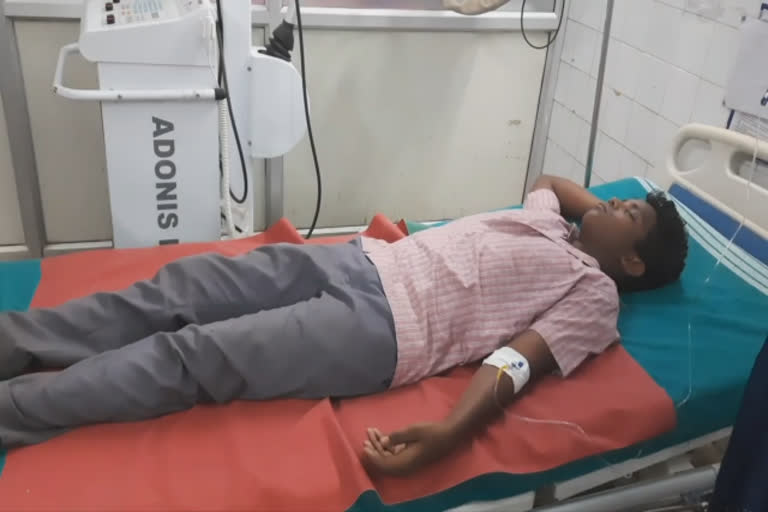 kadhandu  five person get injured by kadhandu in mayiladuthirai  mayiladuthurai news  mayiladuthurai latest news  மயிலாடுதுறையில் கதண்டு வண்டு கடித்து ஐந்து பேர் காயம்  கதண்டு வண்டு  கதண்டு  மயிலாடுதுறை செய்திகள்