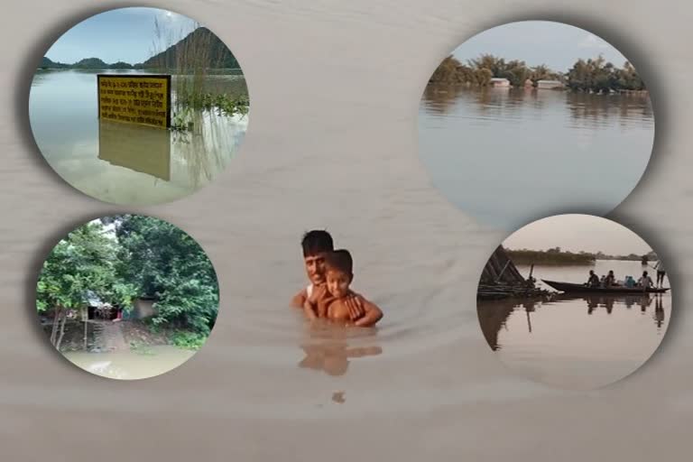 Flood update of assam till 1st september