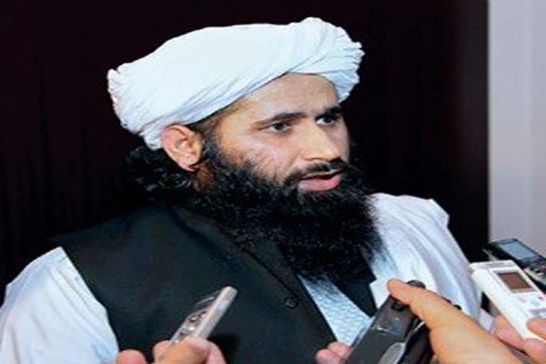 Muhammad Naeem, spokesman for the Taliban's political office