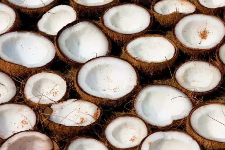 coconut day