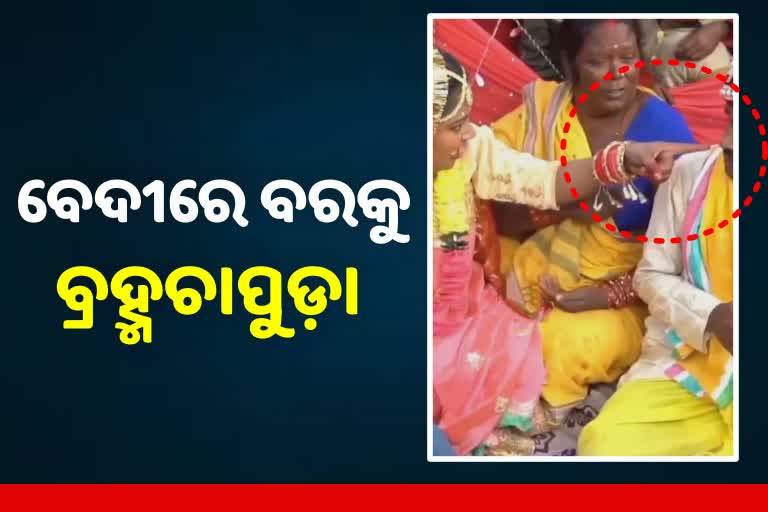 ଗୁଟଖା ଖାଇ ବେଦୀରେ ବସୁଥିଲେ ସାବଧାନ..ଖାଇପାରନ୍ତି ଚାପୁଡ଼ା