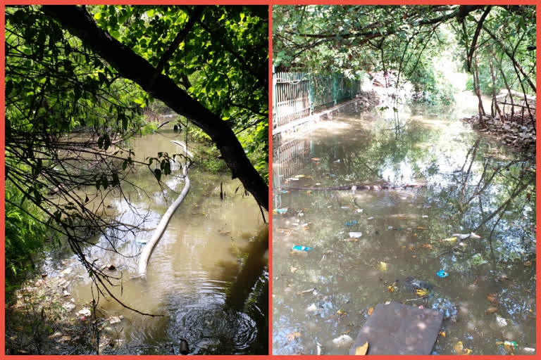 Biodiversity park in delhi