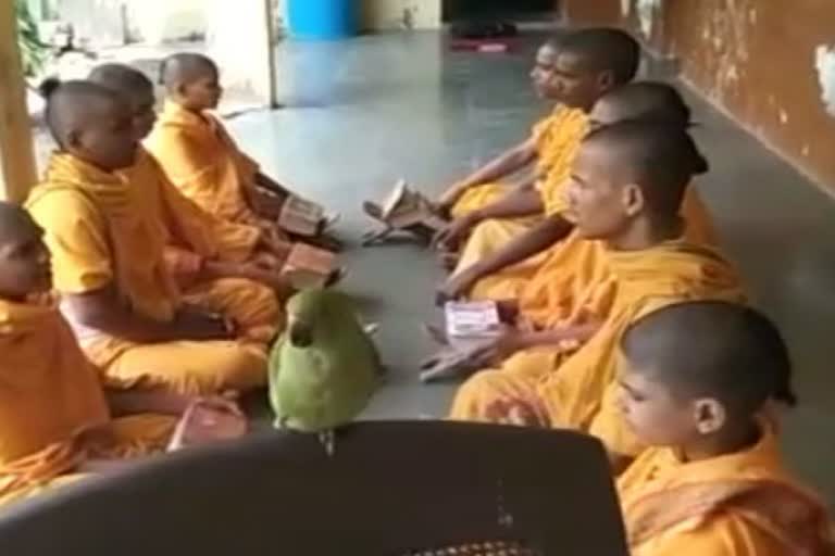 शिक्षा लेने आता है तोता