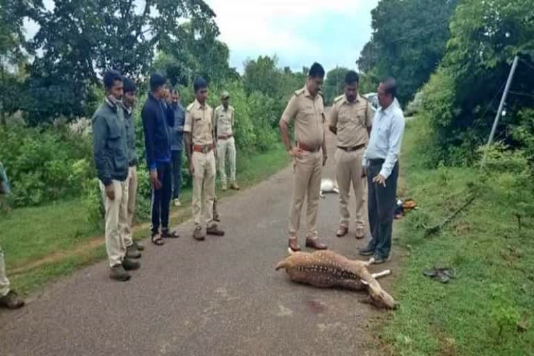 gun-fight-between-forest-department-staff-and-hunters-in-chamarajanagara