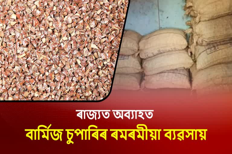 illegal-trade-of-burmese-supari-continues-in-assam