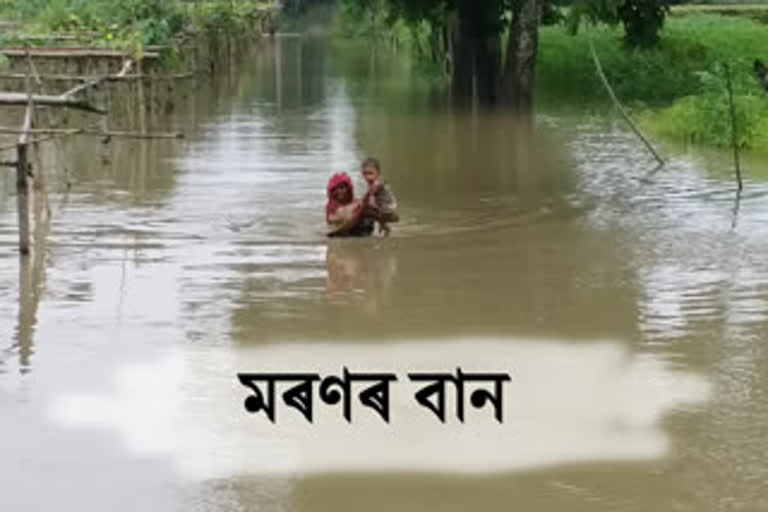 লখিমপুৰত সোৱণশিৰি প্ৰকল্পৰ বাঢ়িন পানীয়ে প্ৰাণ ললে এজন কিশোৰৰ