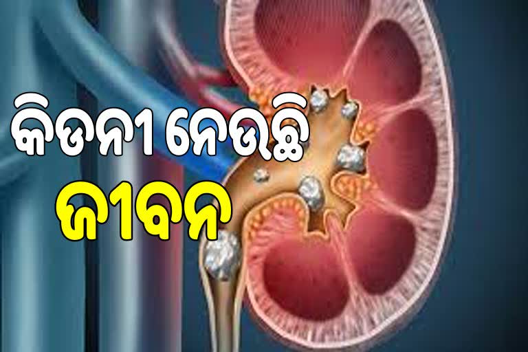 କିଡନୀ ରୋଗରେ ଆକ୍ରାନ୍ତ ହୋଇ ବୌଦ୍ଧ ଜିଲ୍ଲାରେ ୨ଜଣଙ୍କର ମୃତ୍ୟୁ