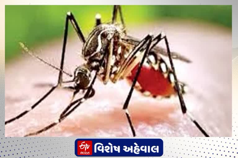 કોરોના બાદ રાજયમાં સીઝનલ ફ્લુનો કાળો કહેર