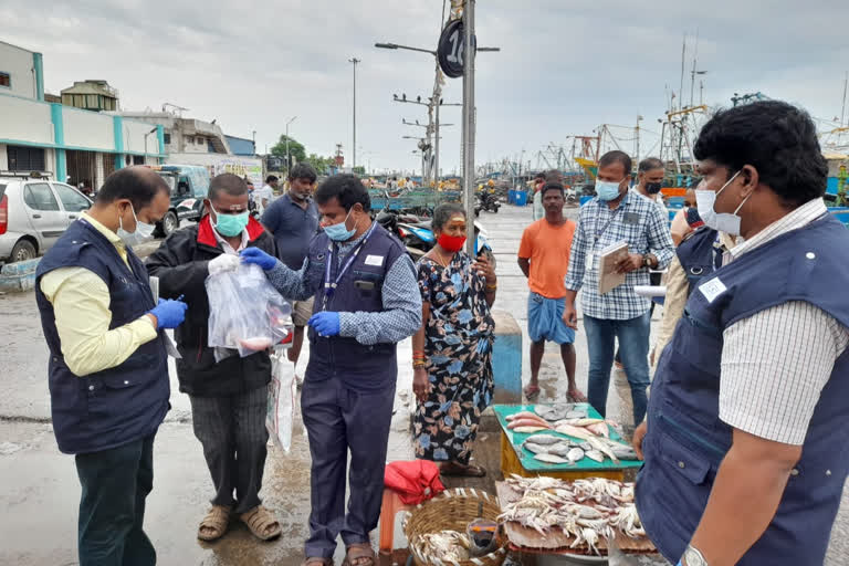 kasimedu fish market raid