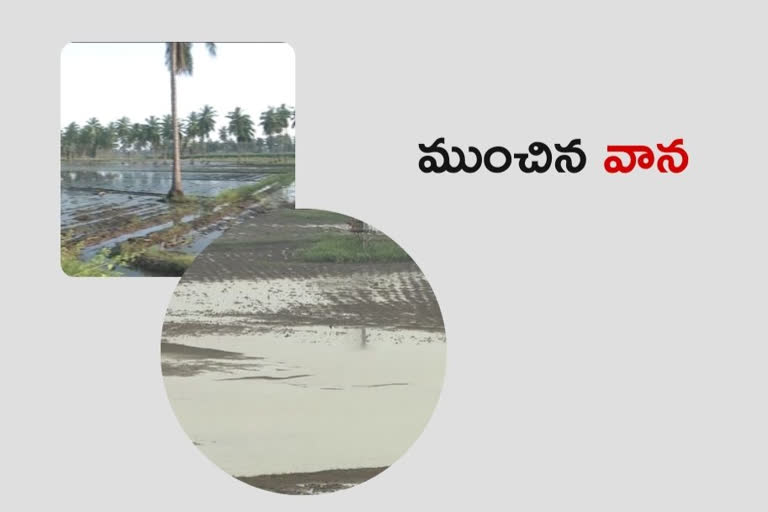 గుంటూరు జిల్లాలో బారీ వర్షం