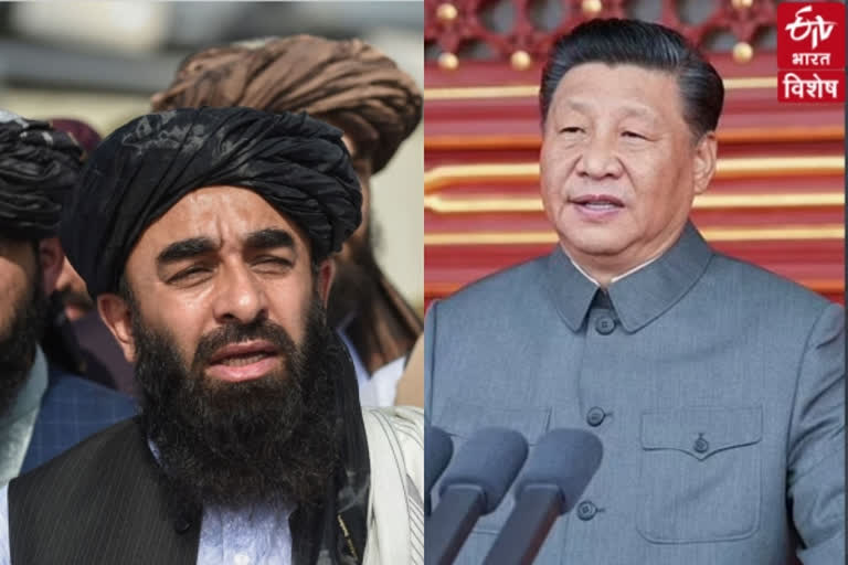 चीन-तालिबान संबंध