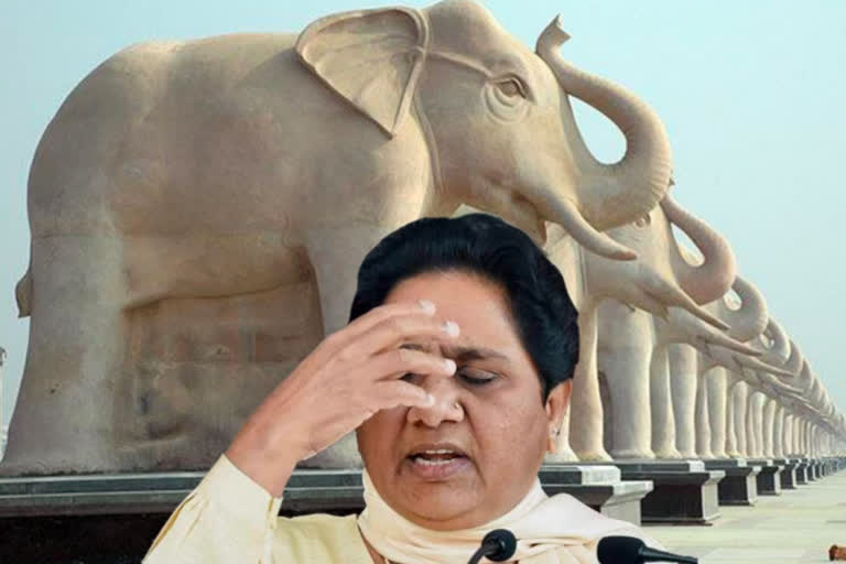 mayawati